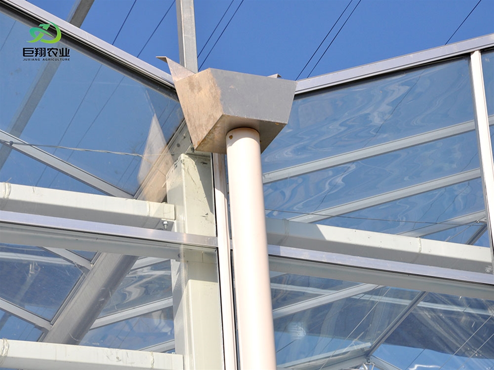 Glass greenhouse