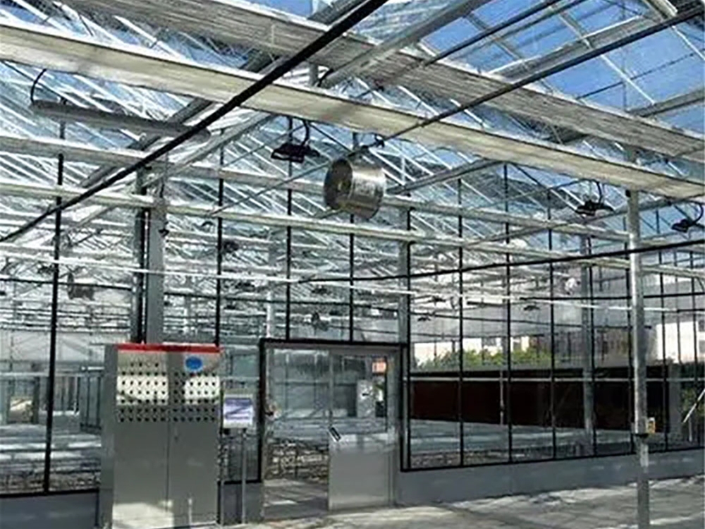 Glass greenhouse