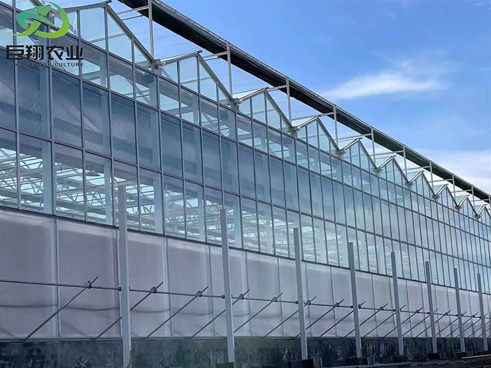 Glass greenhouse