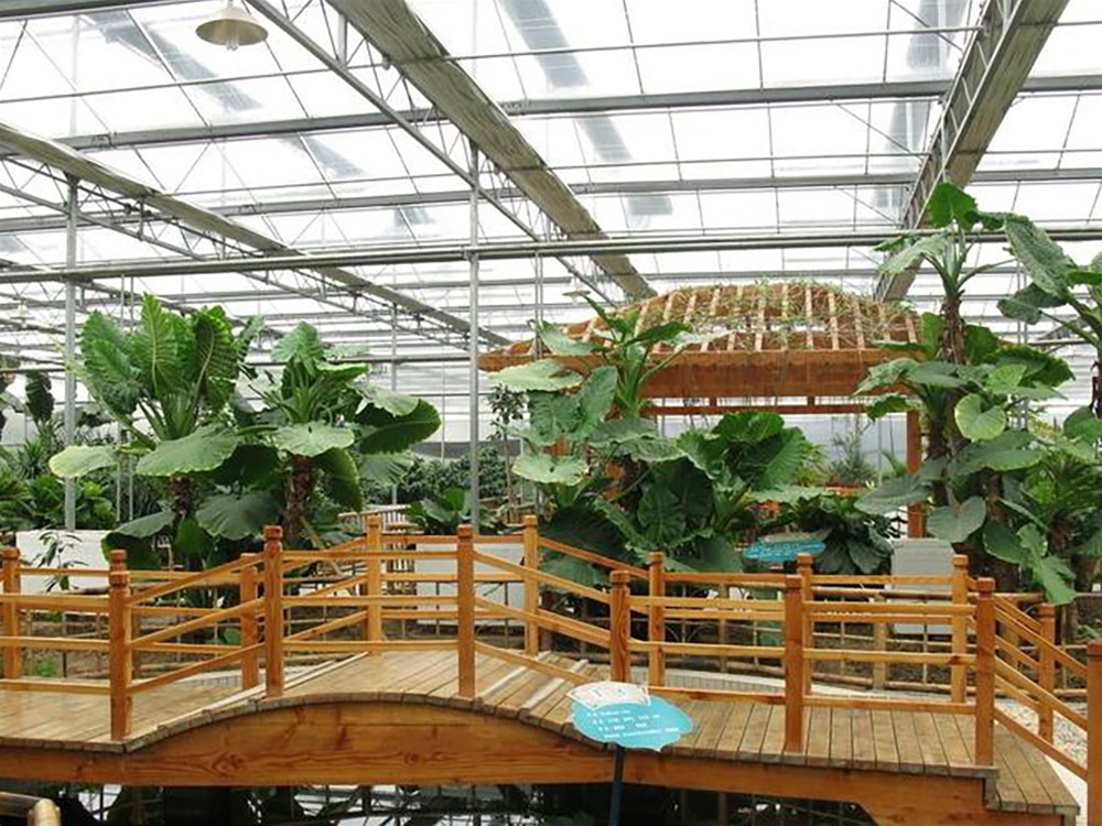 Glass greenhouse