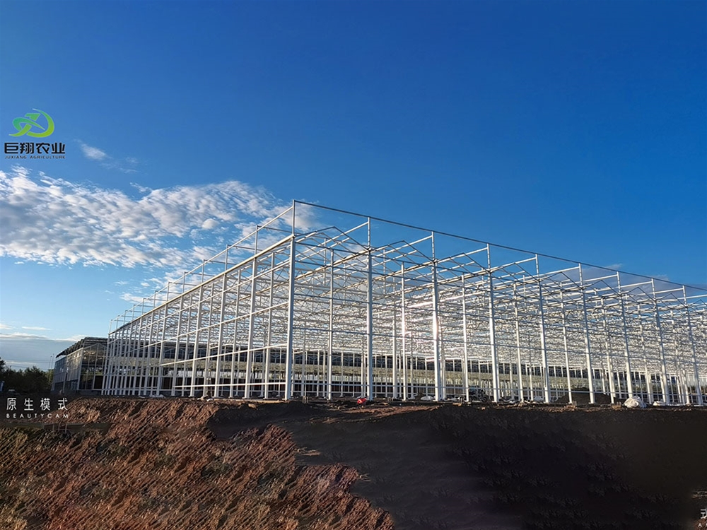 Glass greenhouse