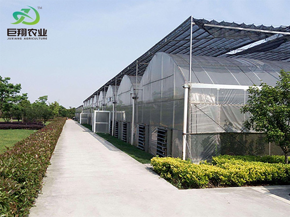 Continuous film greenhouse