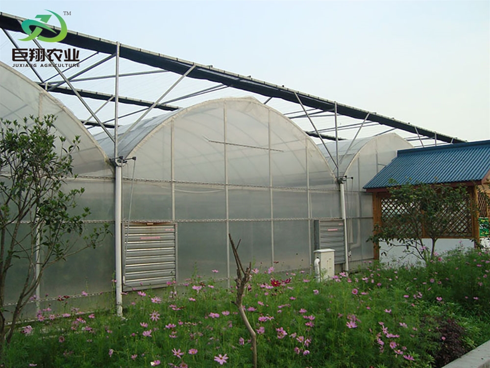 Continuous film greenhouse