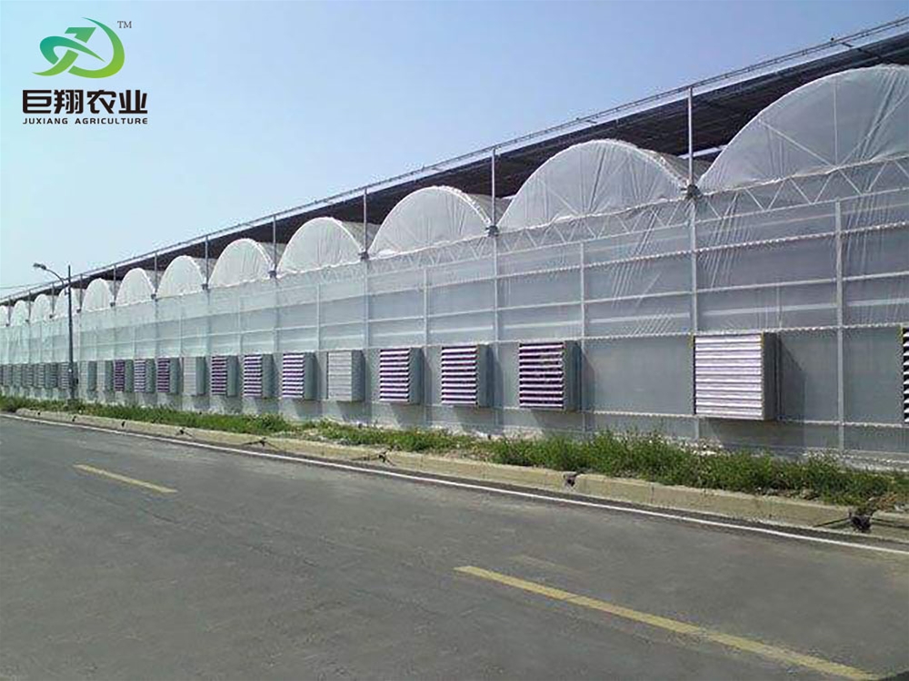 Continuous film greenhouse