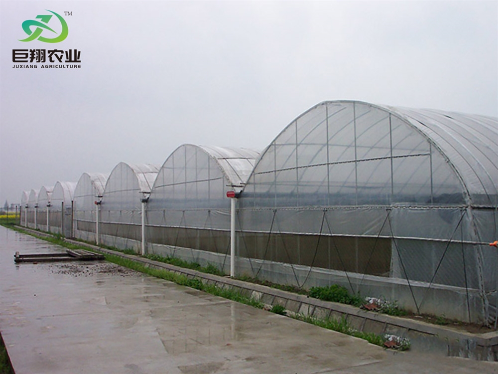 Continuous film greenhouse