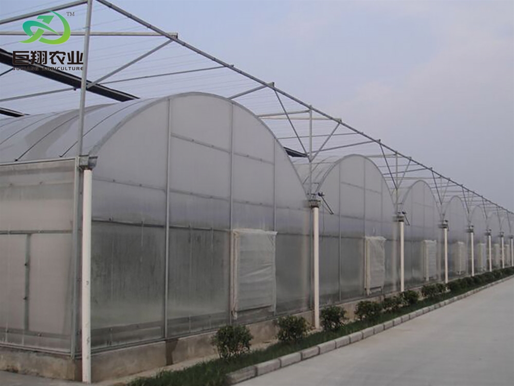 Continuous film greenhouse