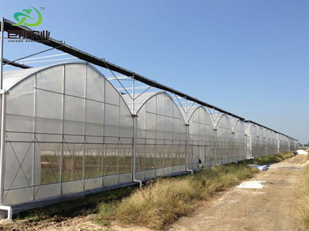 Continuous film greenhouse