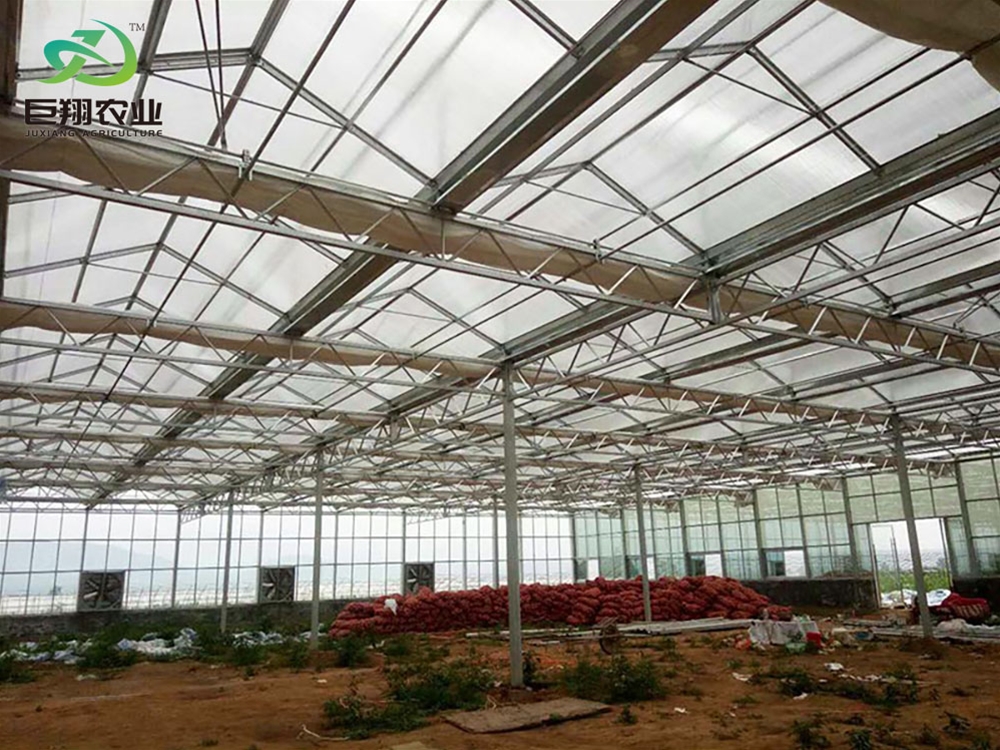 Glass greenhouse