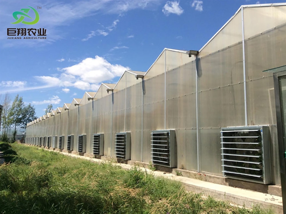 Sun panel greenhouse